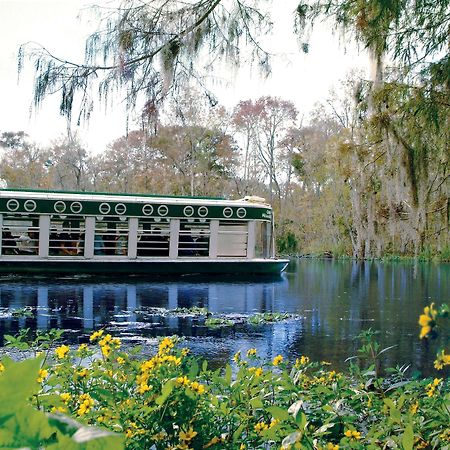 Howard Johnson By Wyndham Ocala Fl I-75 Bagian luar foto